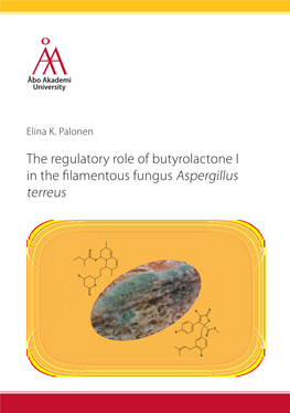 Elina K. Palonen: the Regulatory Role of Butyrolactone I in the Filamentous