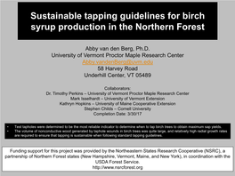 Sustainable Tapping Guidelines for Birch Syrup Production in the Northern Forest