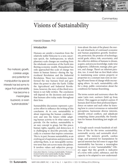 Visions of Sustainability