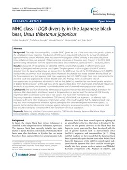 MHC Class II DQB Diversity in the Japanese Black Bear, Ursus Thibetanus Japonicus