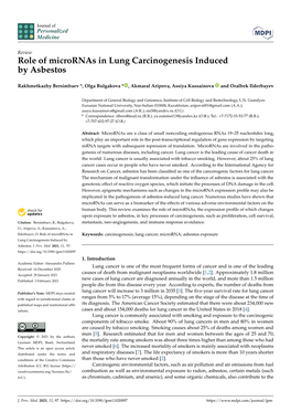 Role of Micrornas in Lung Carcinogenesis Induced by Asbestos