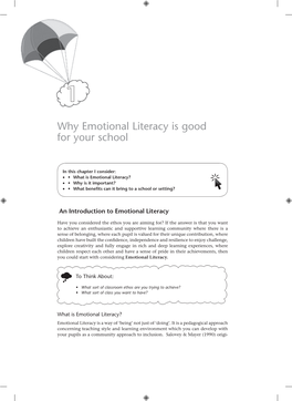 Why Emotional Literacy Is Good for Your School