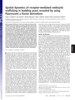 Spatial Dynamics of Receptor-Mediated Endocytic Trafficking in Budding Yeast Revealed by Using Fluorescent ␣-Factor Derivatives