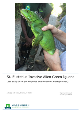 St. Eustatius Invasive Alien Green Iguana