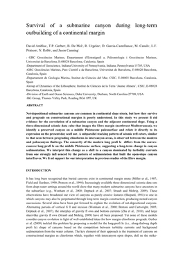 Survival of a Submarine Canyon During Long-Term Outbuilding of a Continental Margin