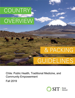 Chile: Public Health, Traditional Medicine, and Community Empowerment Fall 2019