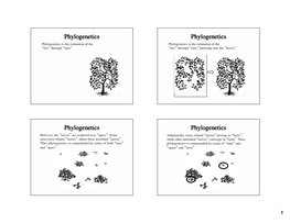 Phylogenetics Phylogenetics Phylogenetics Phylogenetics