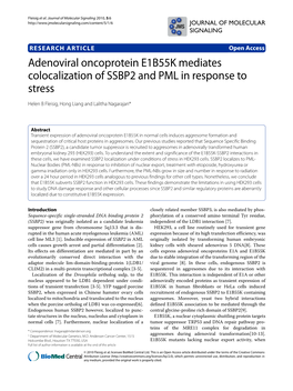 Adenoviral Oncoprotein E1B55K Mediates Colocalization of SSBP2