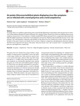 Air Potato (Dioscorea Bulbifera) Plants Displaying Virus-Like Symptoms Are Co-Infected with a Novel Potyvirus and a Novel Ampelovirus