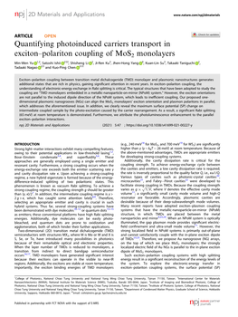 Quantifying Photoinduced Carriers Transport in Exciton–Polariton