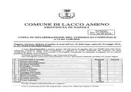 COMUNE Di LACCO AMENO PROVINCIA DI NAPOLI