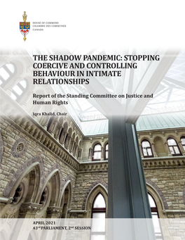 The Shadow Pandemic: Stopping Coercive and Controlling Behaviour in Intimate Relationships