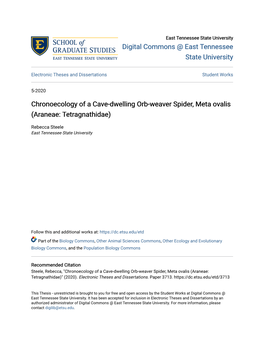 Chronoecology of a Cave-Dwelling Orb-Weaver Spider, Meta Ovalis (Araneae: Tetragnathidae)