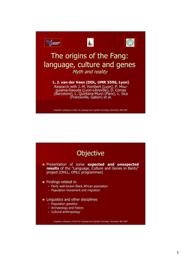 The Origins of the Fang: Language, Culture and Genes