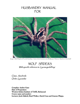 Husbandry Manual for Wolf Spiders