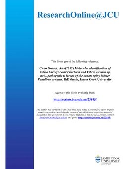 Molecular Identification of Vibrio Harveyi-Related Bacteria and Vibrio Owensii Sp