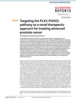 Targeting the PLK1-FOXO1 Pathway As a Novel Therapeutic Approach For