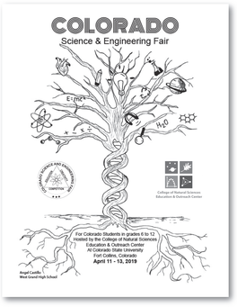 CSEF Program (Pdf)