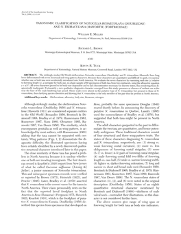 Taxonomic Clarification of Notocelia Rosaecolana (Doubleday) and N