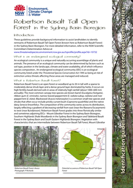 Robertson Basalt Tall Open Forest in the Sydney Basin Bioregion