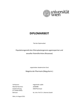 Diplomarbeit