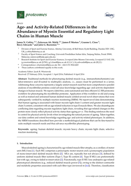 Age- and Activity-Related Differences in the Abundance of Myosin Essential and Regulatory Light Chains in Human Muscle