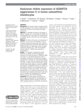 Hyaluronan Inhibits Expression of ADAMTS4 (Aggrecanase-1) in Human Osteoarthritic Chondrocytes