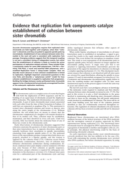 Evidence That Replication Fork Components Catalyze Establishment of Cohesion Between Sister Chromatids