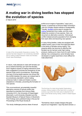 A Mating War in Diving Beetles Has Stopped the Evolution of Species 21 March 2019