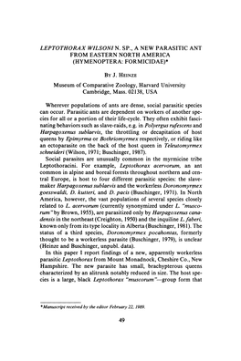 Leptothorax Wilsoni N. Sp., a New Parasitic Ant from Eastern North America (Hymenoptera: Formicidae)* by J