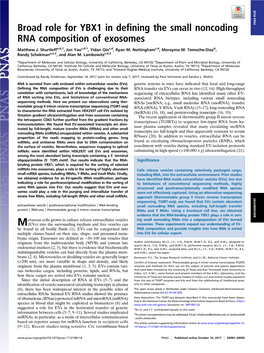 Broad Role for YBX1 in Defining the Small Noncoding RNA Composition