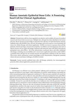 Human Amniotic Epithelial Stem Cells: a Promising Seed Cell for Clinical Applications