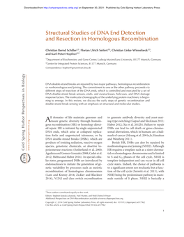 Structural Studies of DNA End Detection and Resection in Homologous Recombination