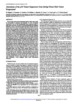 Alterations of the P53 Tumor Suppressor Gene During Mouse Skin Tumor Progression1