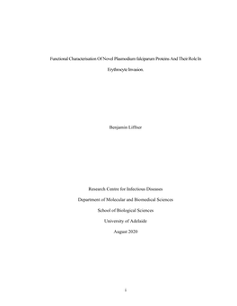 Harvard Thesis Template