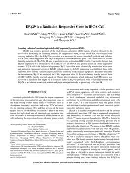 Erp29 Is a Radiation-Responsive Gene in IEC-6 Cell