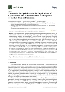 Proteomics Analysis Reveals the Implications of Cytoskeleton and Mitochondria in the Response of the Rat Brain to Starvation