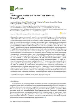 Convergent Variations in the Leaf Traits of Desert Plants