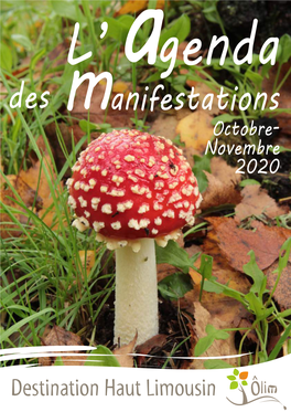 Anifestations Octobre- Novembre 2020