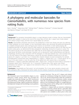 A Phylogeny and Molecular Barcodes for Caenorhabditis, with Numerous