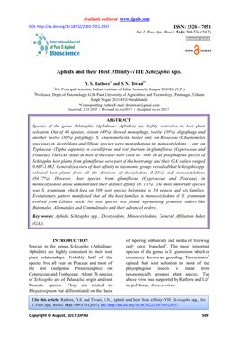 Aphids and Their Host Affinity-VIII: Schizaphis Spp