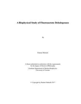 A Biophysical Study of Fluoroacetate Dehalogenase