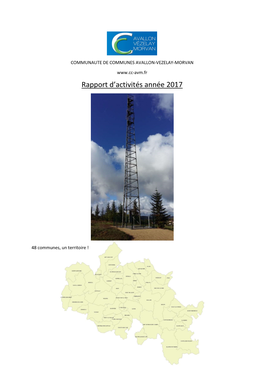 Rapport D'activités Année 2017