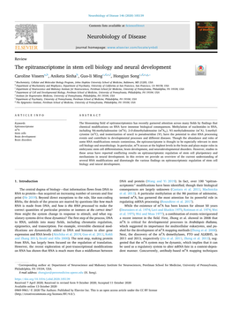 The Epitranscriptome in Stem Cell Biology and Neural Development