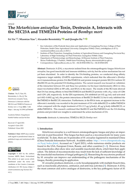 The Metarhizium Anisopliae Toxin, Destruxin A, Interacts with the SEC23A and TEME214 Proteins of Bombyx Mori