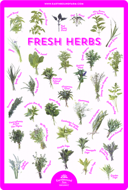 FRESH HERBS O M E O L O Fr C an an Chiv En Atn G Eg Es C Ip E H   N S OEl a K I E L