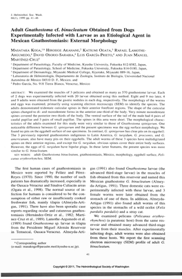 Adult Gnathostoma Cf. Binucleatum Obtained from Dogs Experimentally Infected with Larvae As an Etiological Agent in Mexican Gnathostomiasis: External Morphology