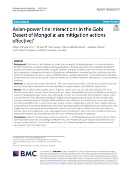 Avian-Power Line Interactions in the Gobi Desert of Mongolia