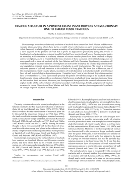 Tracheid Structure in a Primitive Extant Plant Provides an Evolutionary Link to Earliest Fossil Tracheids