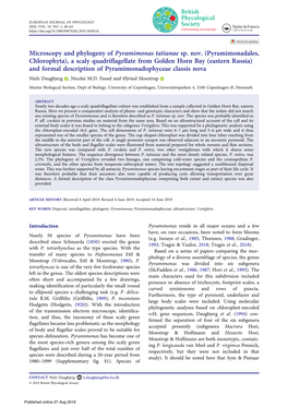 Microscopy and Phylogeny of Pyramimonas Tatianae Sp. Nov